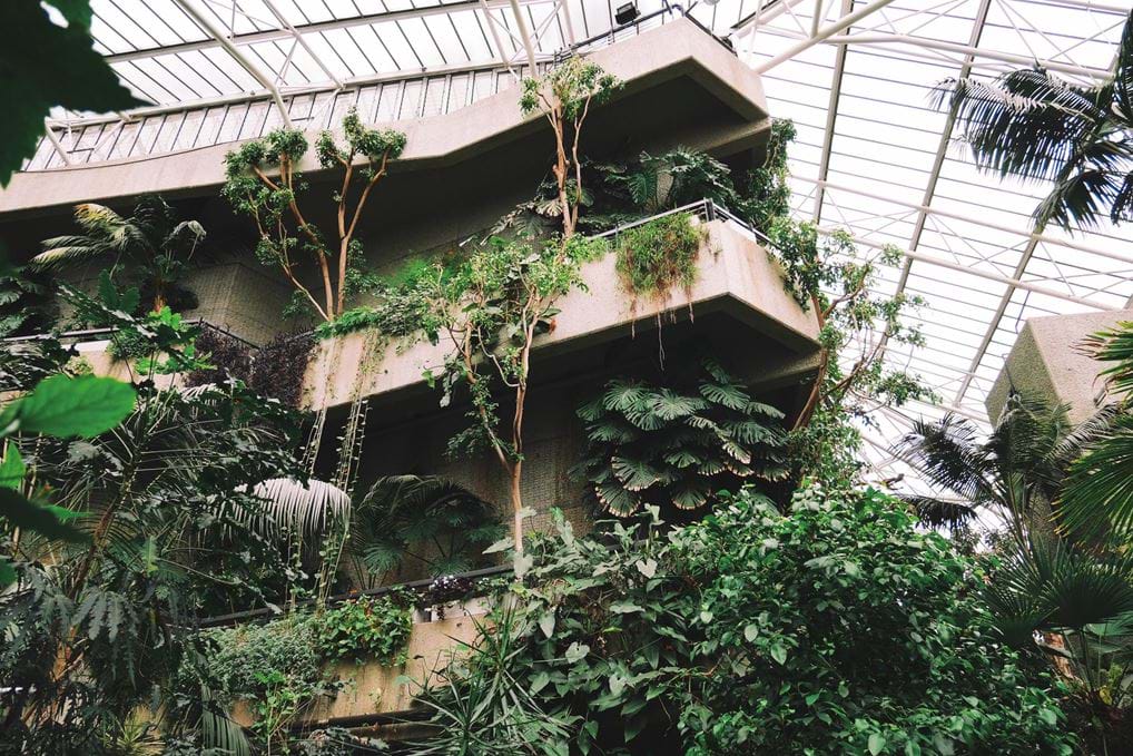 <p>The Barbican Conservatory.</p>