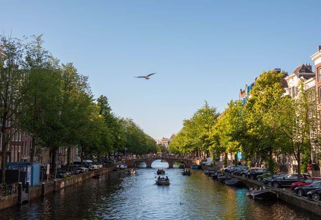 Carefully Designed, Uncluttered Serviced Apartments in Amsterdam | Cove