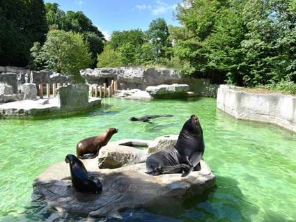 Explore: Hellabrunn Zoo | Munich | Design-led Aparthotels, Locke